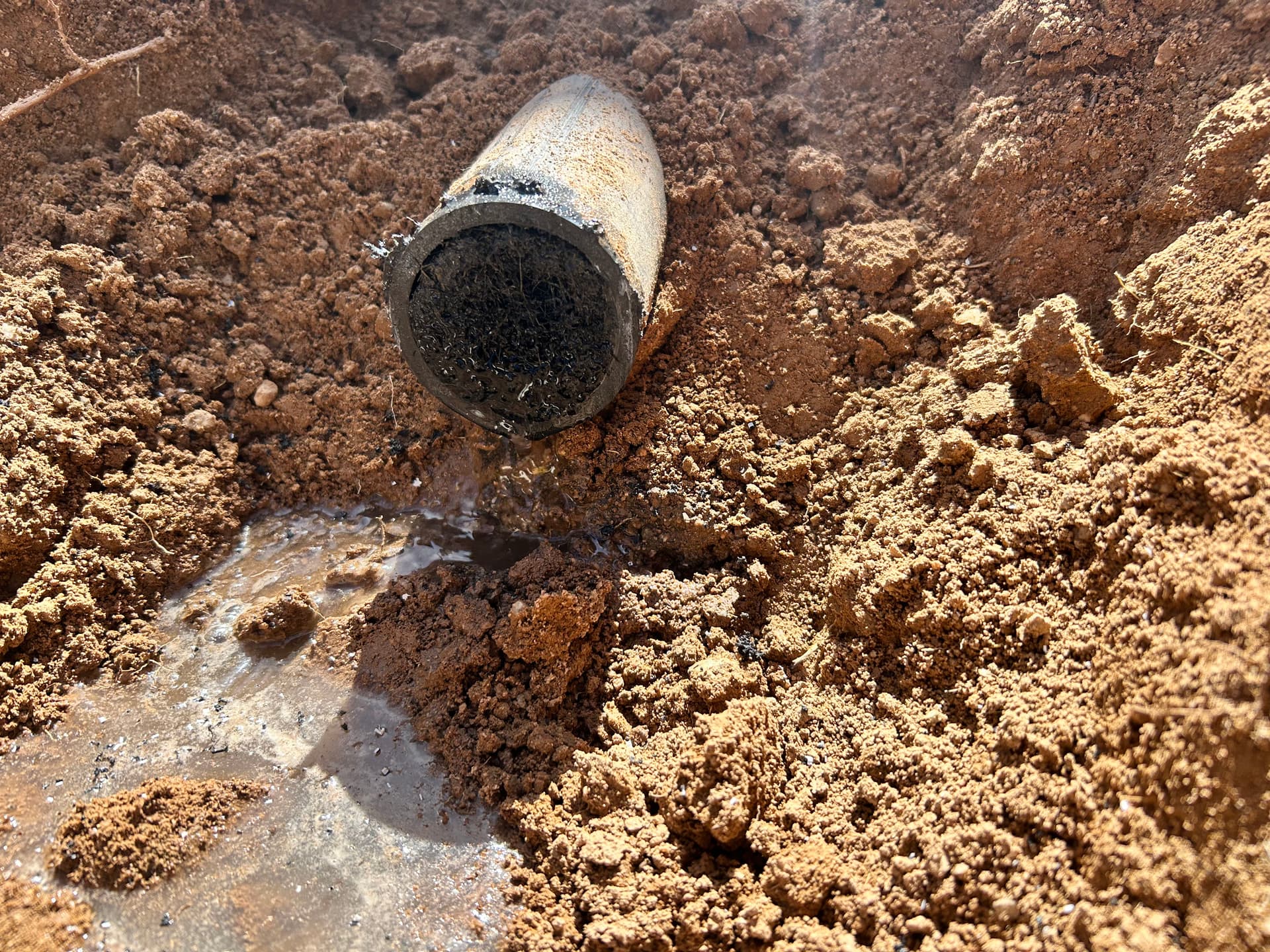 Septic Line Root Removal and Pipe Repair Success