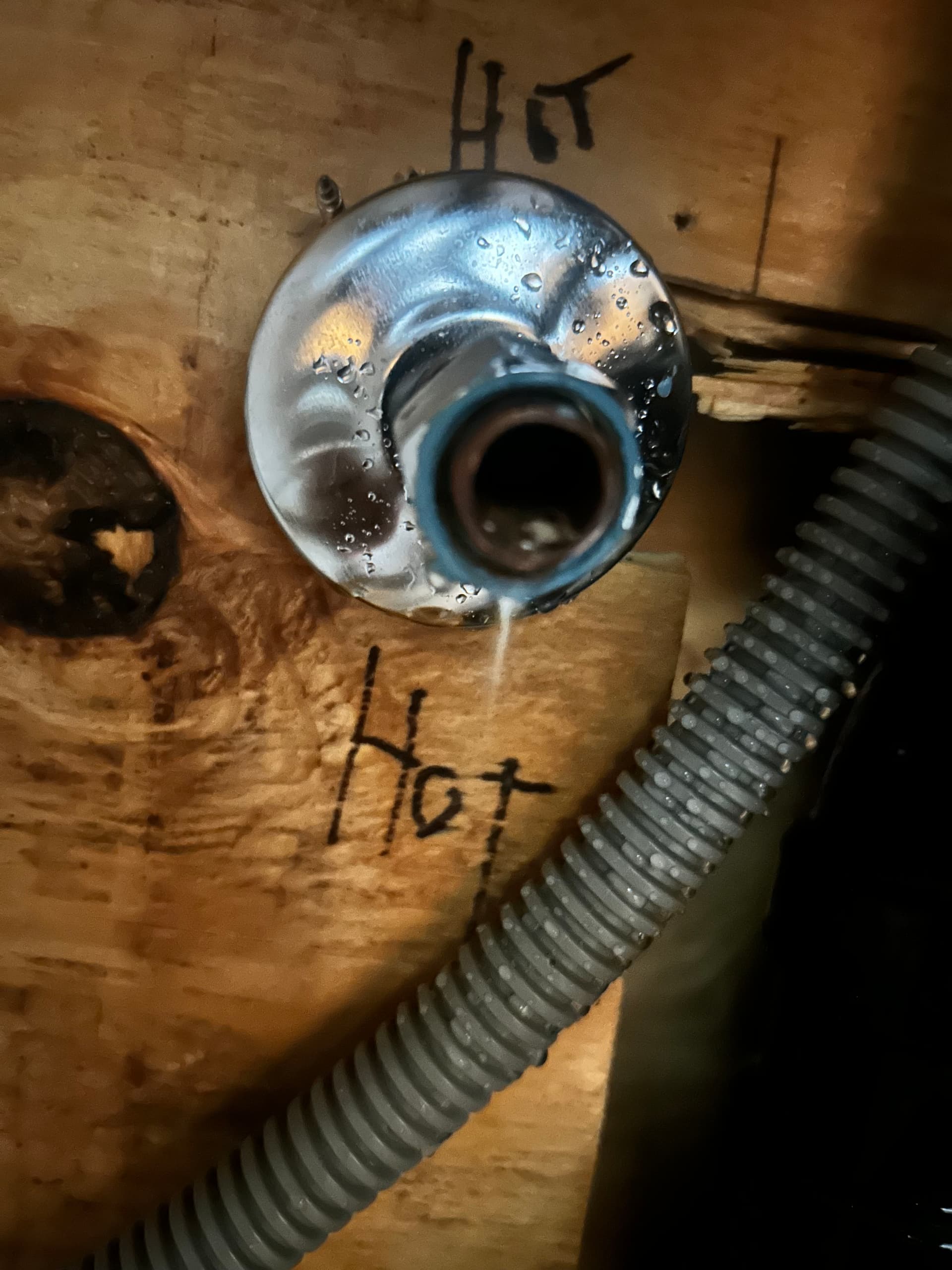 Septic Line Root Removal and Pipe Repair Success