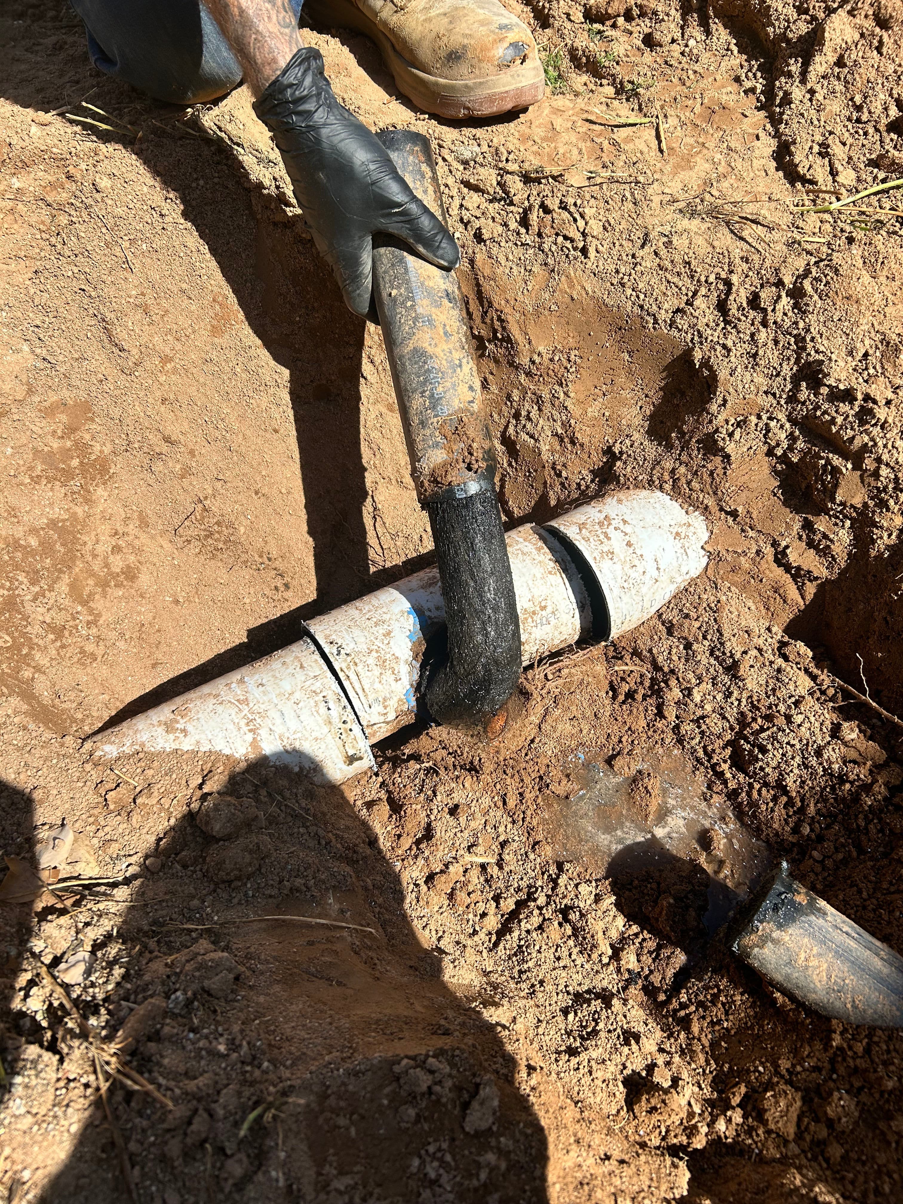 Project Septic Line Root Removal and Pipe Repair Success image